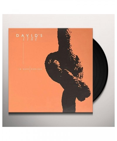 David's Lyre IN ARMS Vinyl Record $6.24 Vinyl