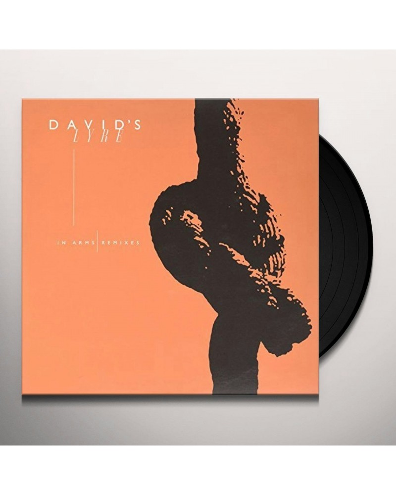 David's Lyre IN ARMS Vinyl Record $6.24 Vinyl