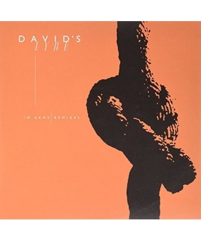 David's Lyre IN ARMS Vinyl Record $6.24 Vinyl