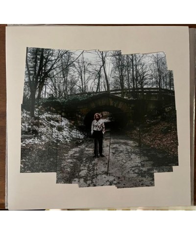 Kevin Morby MORE PHOTOGRAPHS (A CONTINUUM) (COKE BOTTLE CLEAR VINYL) Vinyl Record $11.02 Vinyl