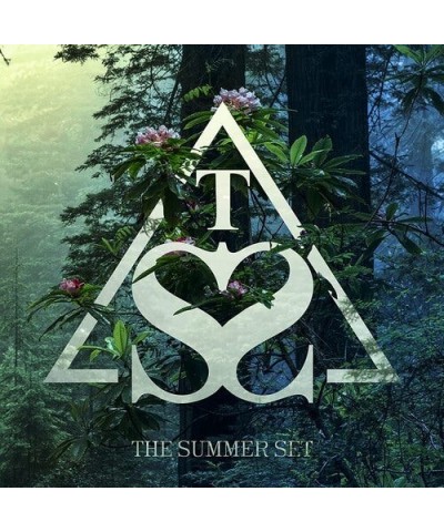 The Summer Set Boomerang Vinyl Record $4.07 Vinyl