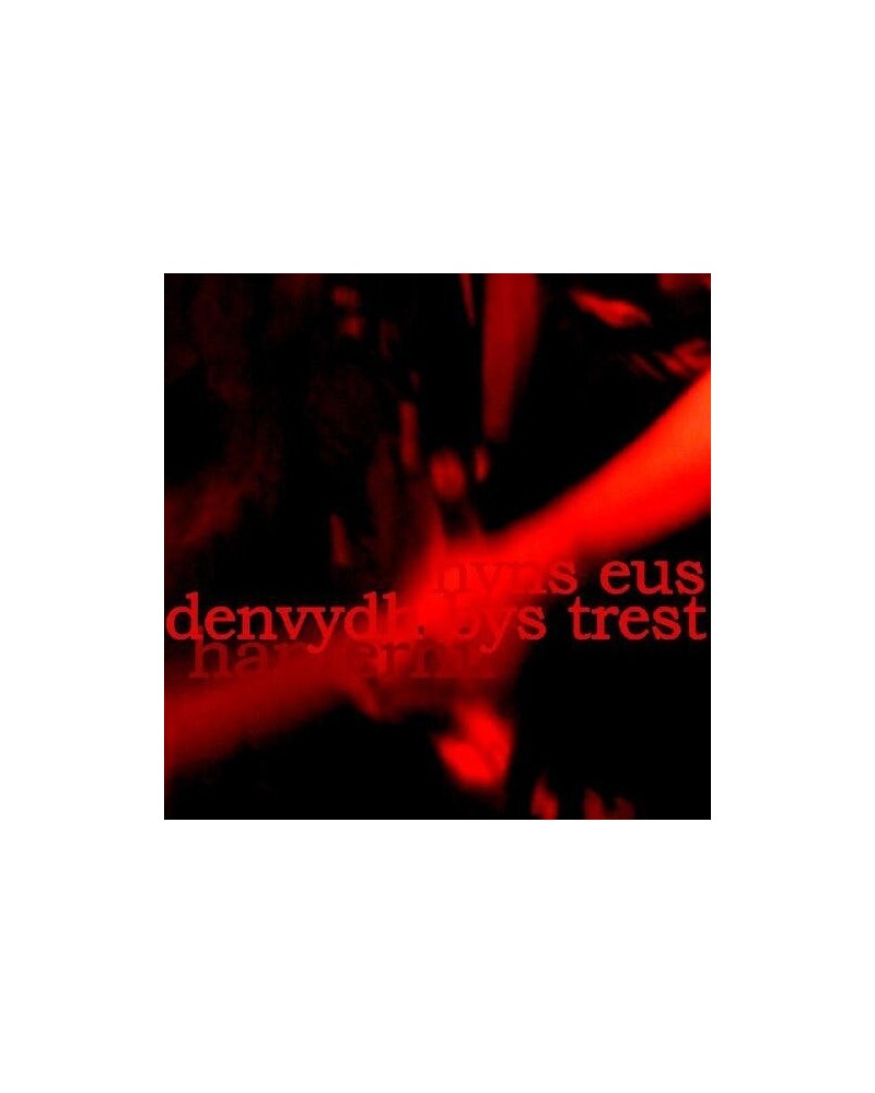 Hanterhir THERE IS NO ONE TO TRUST (NYNS EUS DENVYDTH BYS TREST) (LP/CD) Vinyl Record $15.96 Vinyl