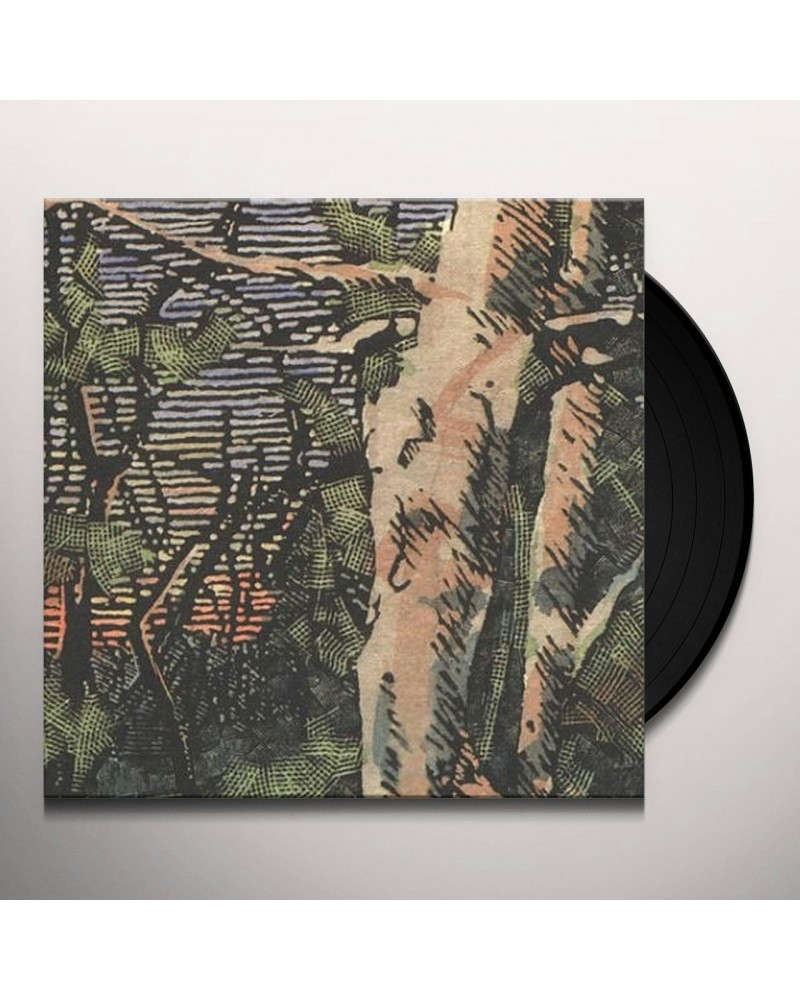 Anomoanon ASLEEP MANY YEARS IN THE WOOD Vinyl Record $4.64 Vinyl