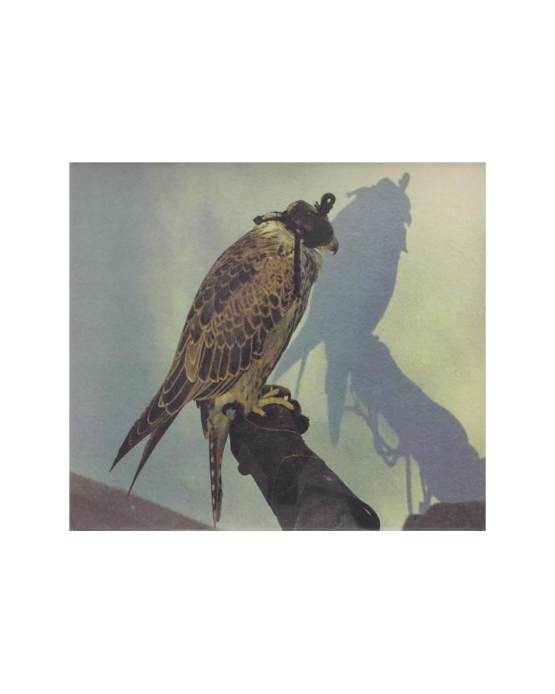 Iceage YOU'RE NOTHING CD $7.13 CD