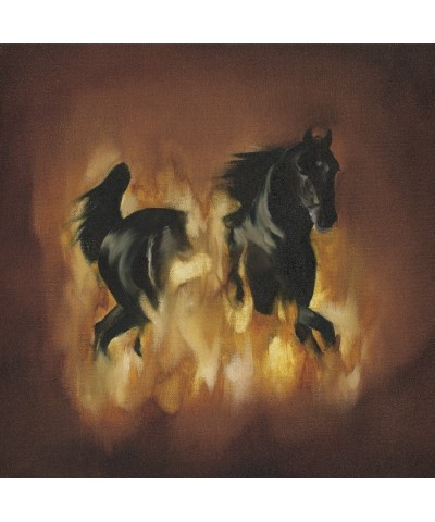 The Besnard Lakes Are The Dark Horse Vinyl Record $8.30 Vinyl